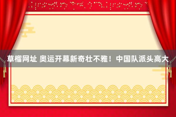 草榴网址 奥运开幕新奇壮不雅！中国队派头高大