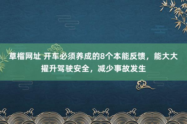 草榴网址 开车必须养成的8个本能反馈，能大大擢升驾驶安全，减少事故发生