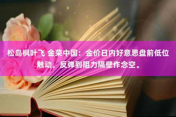 松岛枫叶飞 金荣中国：金价日内好意思盘前低位触动，反弹到阻力隔壁作念空。