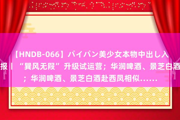 【HNDB-066】パイパン美少女本物中出し入学式！！ 酒说日报丨 “巽风无叚” 升级试运营；华润啤酒、景芝白酒赴西凤相似……