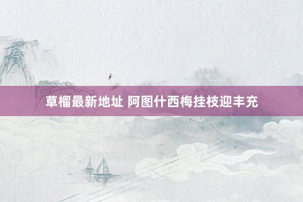 草榴最新地址 阿图什西梅挂枝迎丰充
