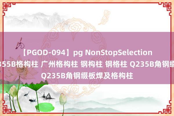 【PGOD-094】pg NonStopSelection 5 钢格构柱 Q355B格构柱 广州格构柱 钢构柱 钢格柱 Q235B角钢缀板焊及格构柱