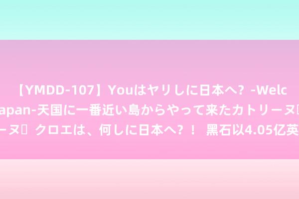 【YMDD-107】Youはヤリしに日本へ？‐Welcome to sex lovers Japan‐天国に一番近い島からやって来たカトリーヌ・クロエは、何しに日本へ？！ 黑石以4.05亿英镑向英国养老基金出售3000套住宅