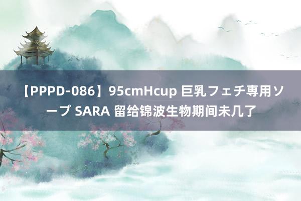 【PPPD-086】95cmHcup 巨乳フェチ専用ソープ SARA 留给锦波生物期间未几了