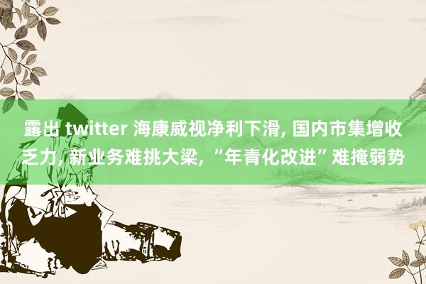 露出 twitter 海康威视净利下滑， 国内市集增收乏力， 新业务难挑大梁， “年青化改进”难掩弱势