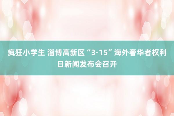 疯狂小学生 淄博高新区“3·15”海外奢华者权利日新闻发布会召开