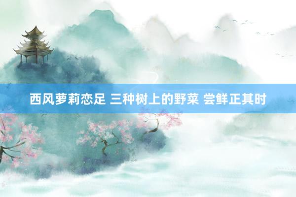 西风萝莉恋足 三种树上的野菜 尝鲜正其时