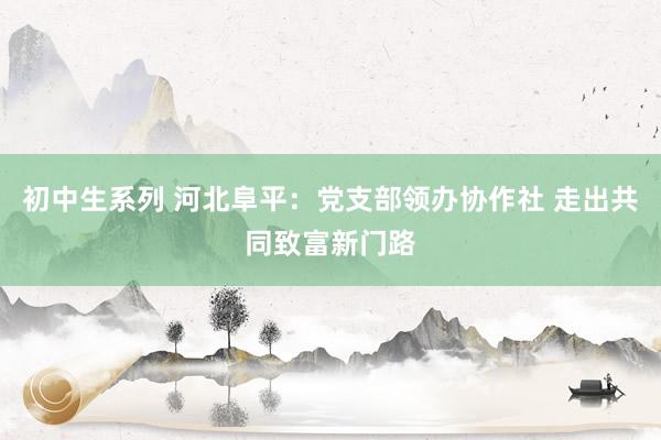 初中生系列 河北阜平：党支部领办协作社 走出共同致富新门路