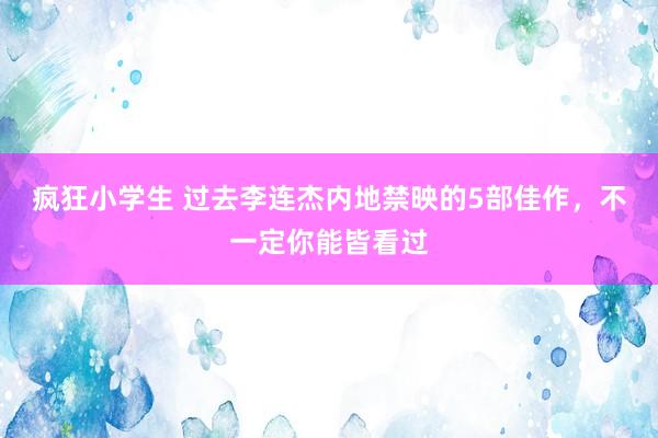 疯狂小学生 过去李连杰内地禁映的5部佳作，不一定你能皆看过