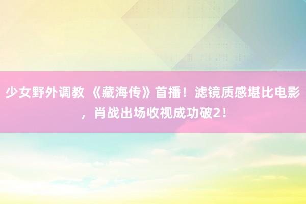 少女野外调教 《藏海传》首播！滤镜质感堪比电影，肖战出场收视成功破2！