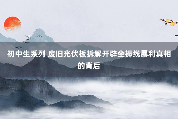 初中生系列 废旧光伏板拆解开辟坐褥线暴利真相的背后