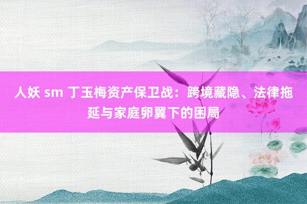 人妖 sm 丁玉梅资产保卫战：跨境藏隐、法律拖延与家庭卵翼下的困局