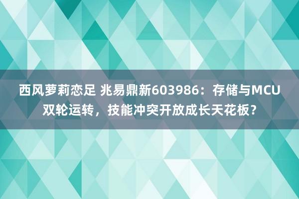 西风萝莉恋足 兆易鼎新603986：存储与MCU双轮运转，技能冲突开放成长天花板？