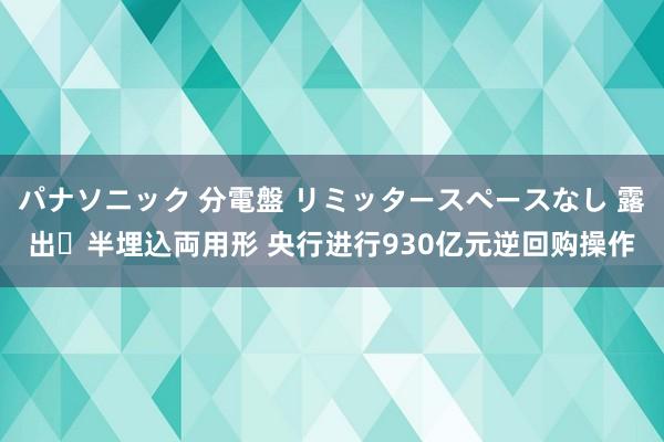 パナソニック 分電盤 リミッタースペースなし 露出・半埋込両用形 央行进行930亿元逆回购操作