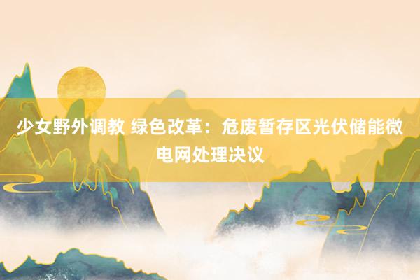 少女野外调教 绿色改革：危废暂存区光伏储能微电网处理决议