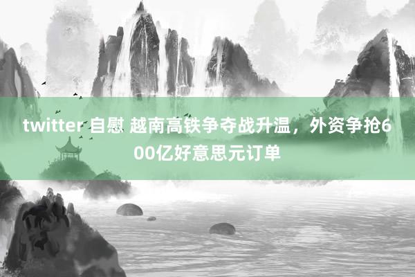 twitter 自慰 越南高铁争夺战升温，外资争抢600亿好意思元订单