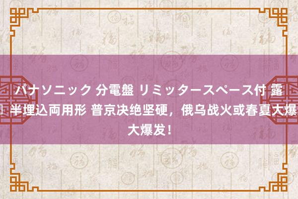 パナソニック 分電盤 リミッタースペース付 露出・半埋込両用形 普京决绝坚硬，俄乌战火或春夏大爆发！