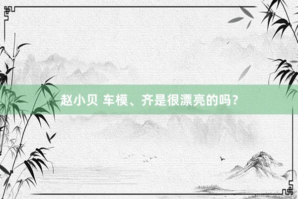 赵小贝 车模、齐是很漂亮的吗？