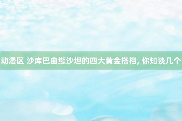 动漫区 沙库巴曲缬沙坦的四大黄金搭档, 你知谈几个