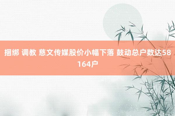 捆绑 调教 慈文传媒股价小幅下落 鼓动总户数达58164户