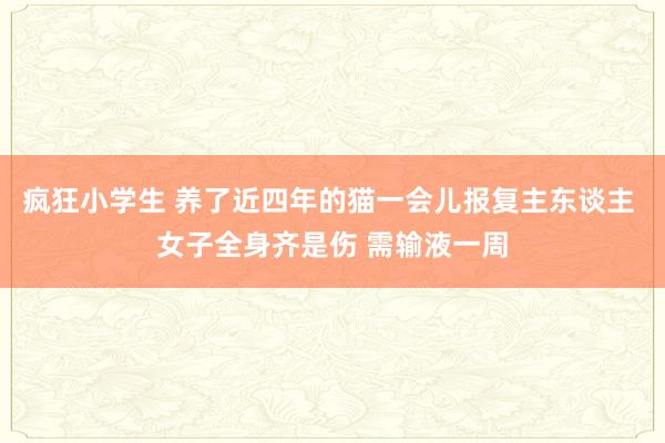 疯狂小学生 养了近四年的猫一会儿报复主东谈主 女子全身齐是伤 需输液一周
