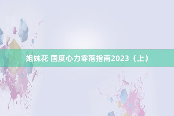 姐妹花 国度心力零落指南2023（上）