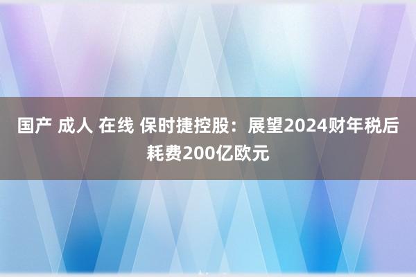 国产 成人 在线 保时捷控股：展望2024财年税后耗费200亿欧元
