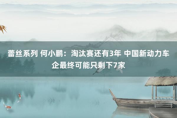 蕾丝系列 何小鹏：淘汰赛还有3年 中国新动力车企最终可能只剩下7家